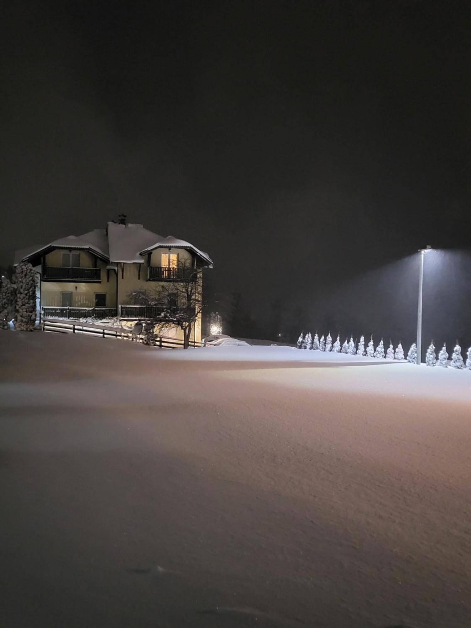 Apartments Vila Velickovic Zlatibor Bagian luar foto