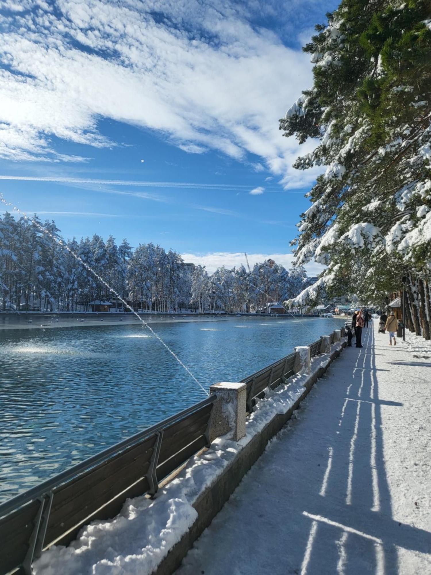 Apartments Vila Velickovic Zlatibor Bagian luar foto