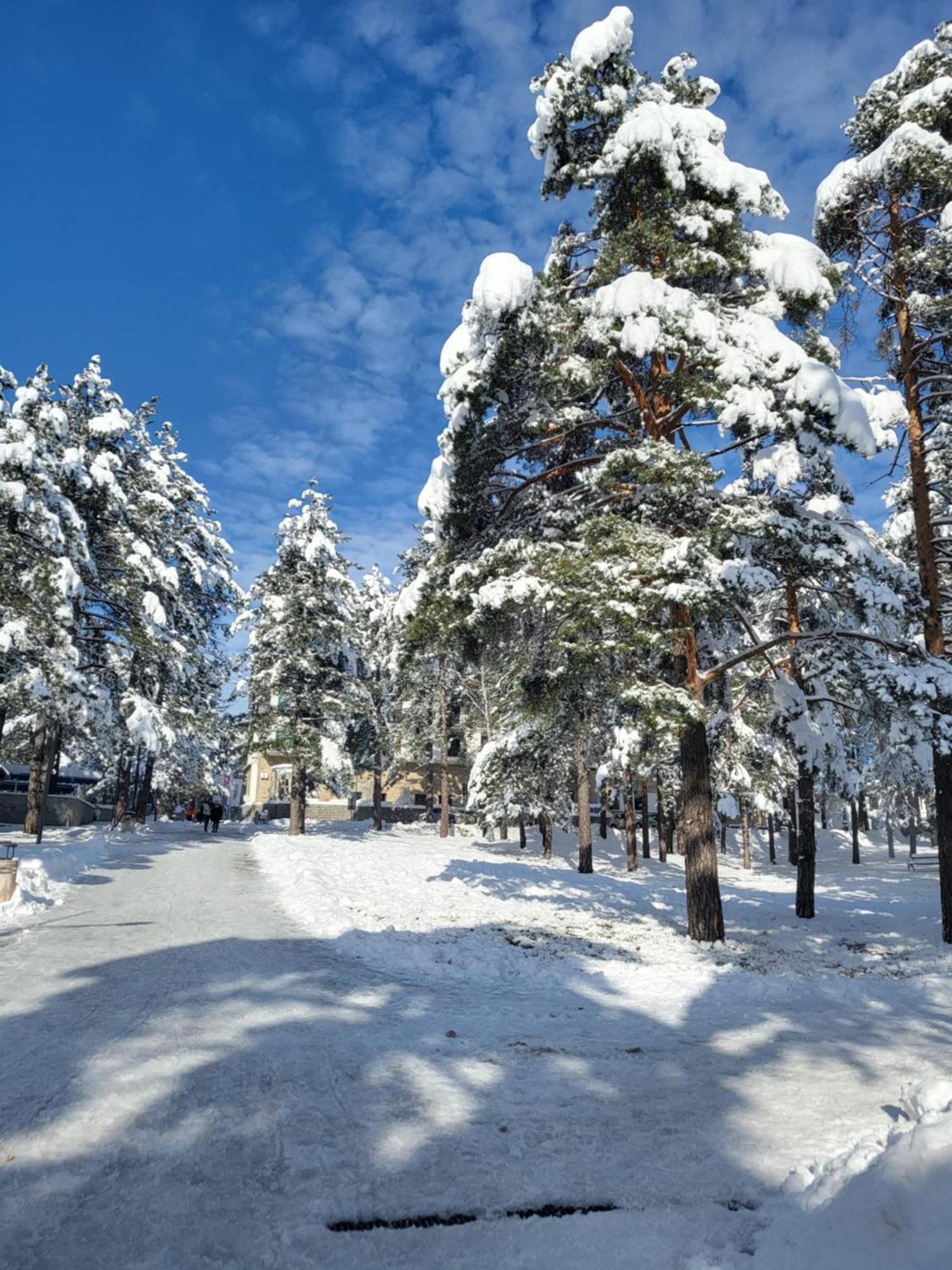 Apartments Vila Velickovic Zlatibor Bagian luar foto