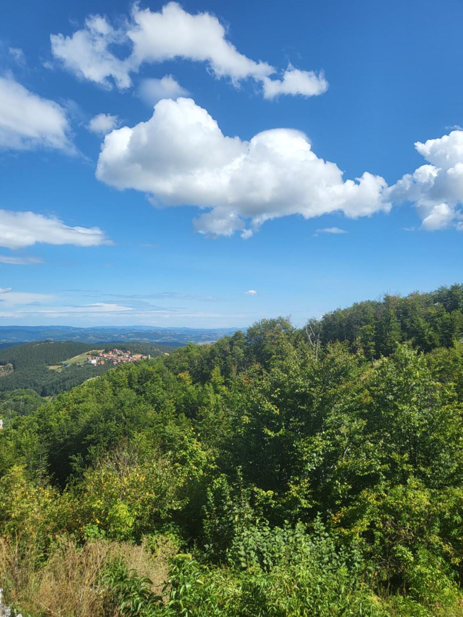 Apartments Vila Velickovic Zlatibor Bagian luar foto