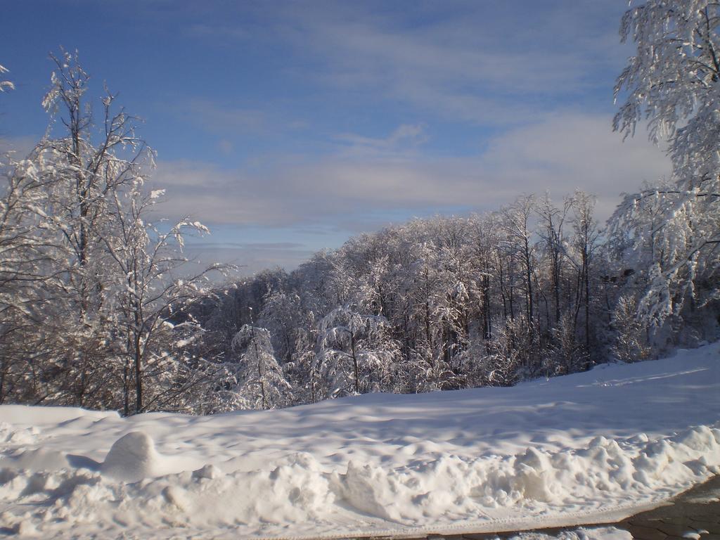 Apartments Vila Velickovic Zlatibor Bagian luar foto