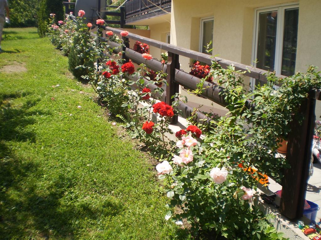 Apartments Vila Velickovic Zlatibor Bagian luar foto