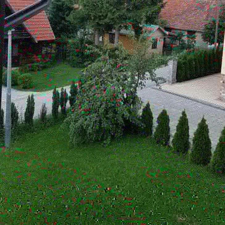 Apartments Vila Velickovic Zlatibor Bagian luar foto
