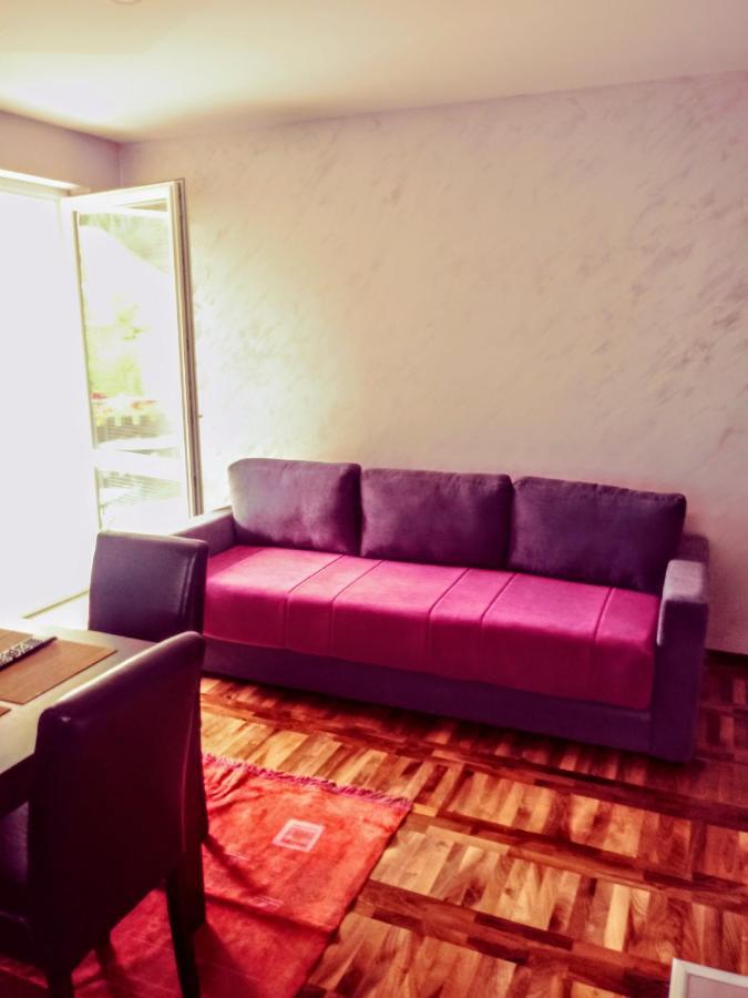 Apartments Vila Velickovic Zlatibor Bagian luar foto