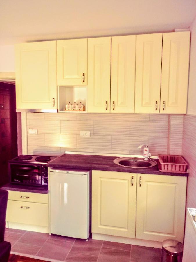Apartments Vila Velickovic Zlatibor Bagian luar foto